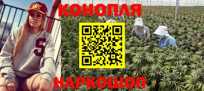 дмт Будённовск