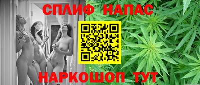 дмт Будённовск