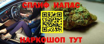дмт Будённовск