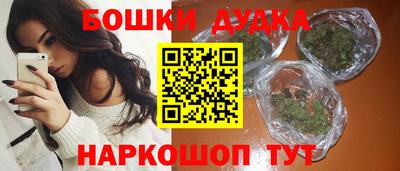 дмт Будённовск