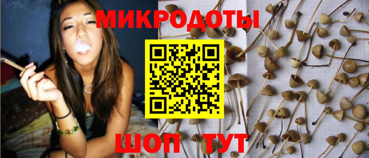Нарткала  Галлюциногенные грибы MAGIC MUSHROOMS  где купить наркоту  Вход с VPN 