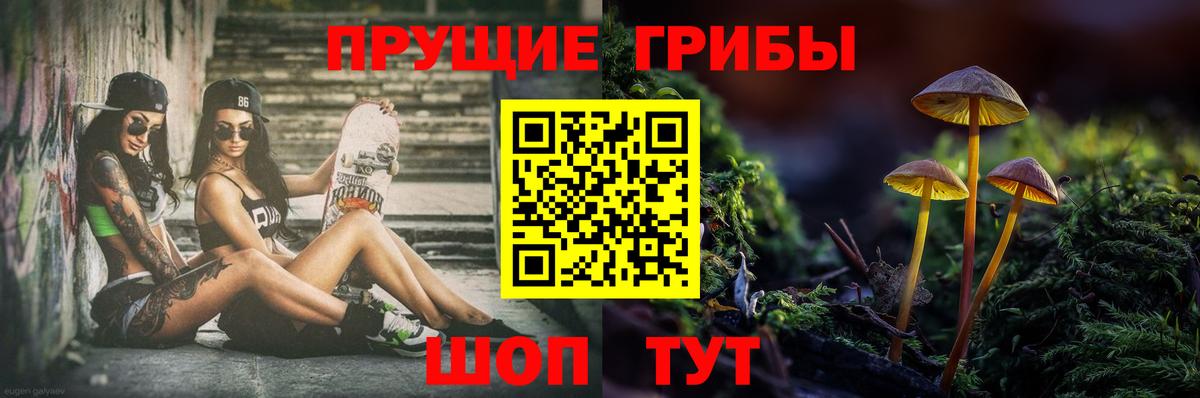 Галлюциногенные грибы Magic Shrooms Нарткала
