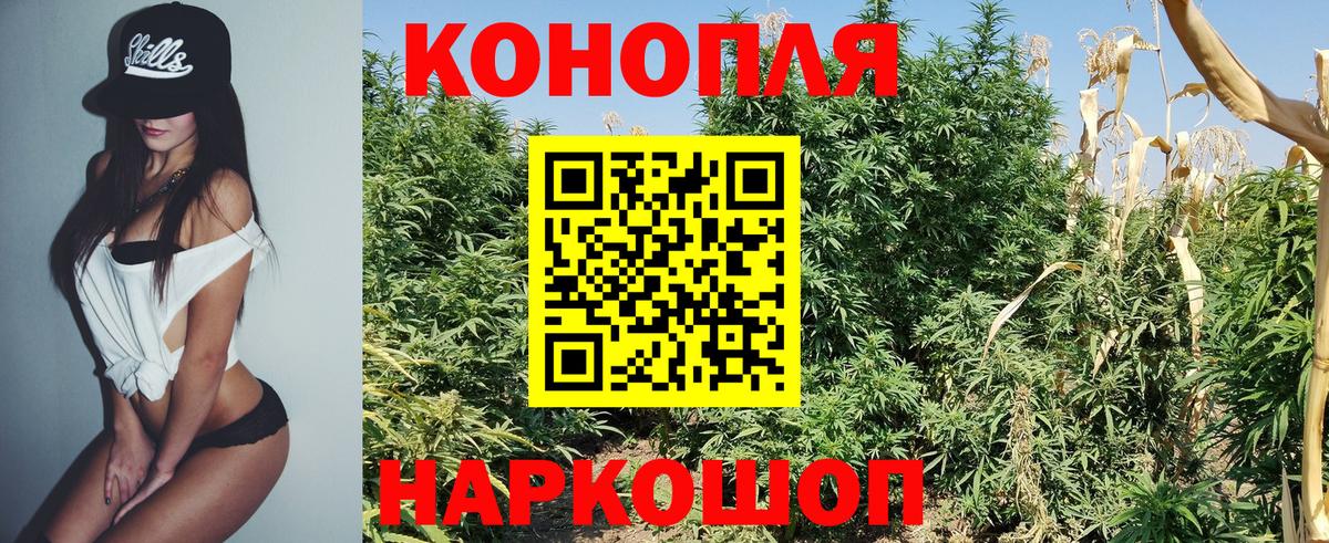 Канабис конопля  Каннабис марихуана  Канабис марихуана  Бошки Шишки конопля  Нарткала  Вход с VPN 